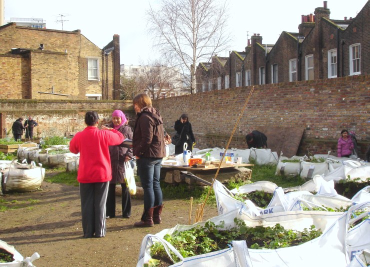 2011 02 12 Action Day Planning