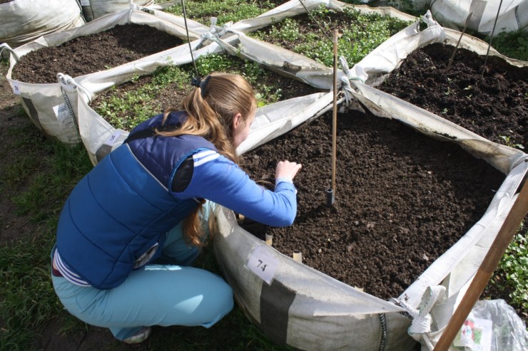 2011-02-25 Action Day IMG_Planting