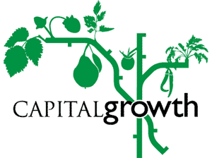 capital_growth_logo[1]